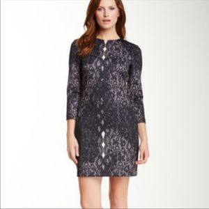 Cynthia Steffe Black Lace Print Dress size 8 NEW